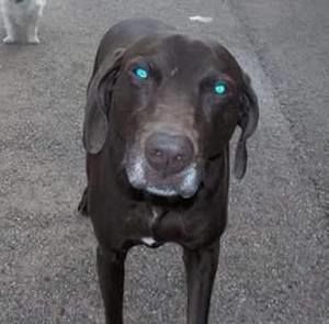 Meet your Posher, Vicki